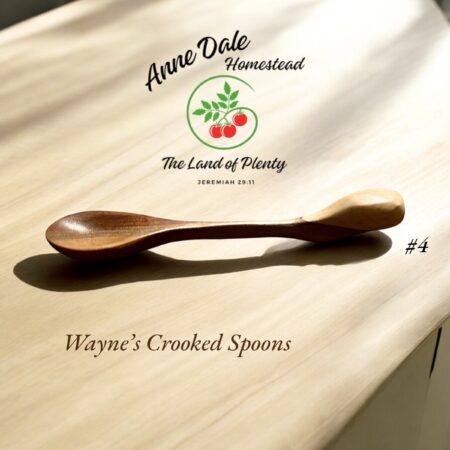 Small Hand Carved Spoon #4