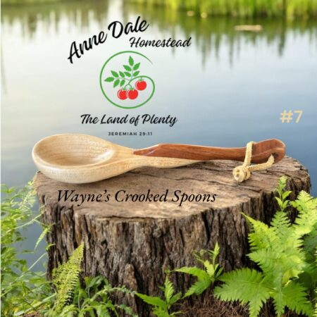 Hand Carved Wooden Spoon 7in #7